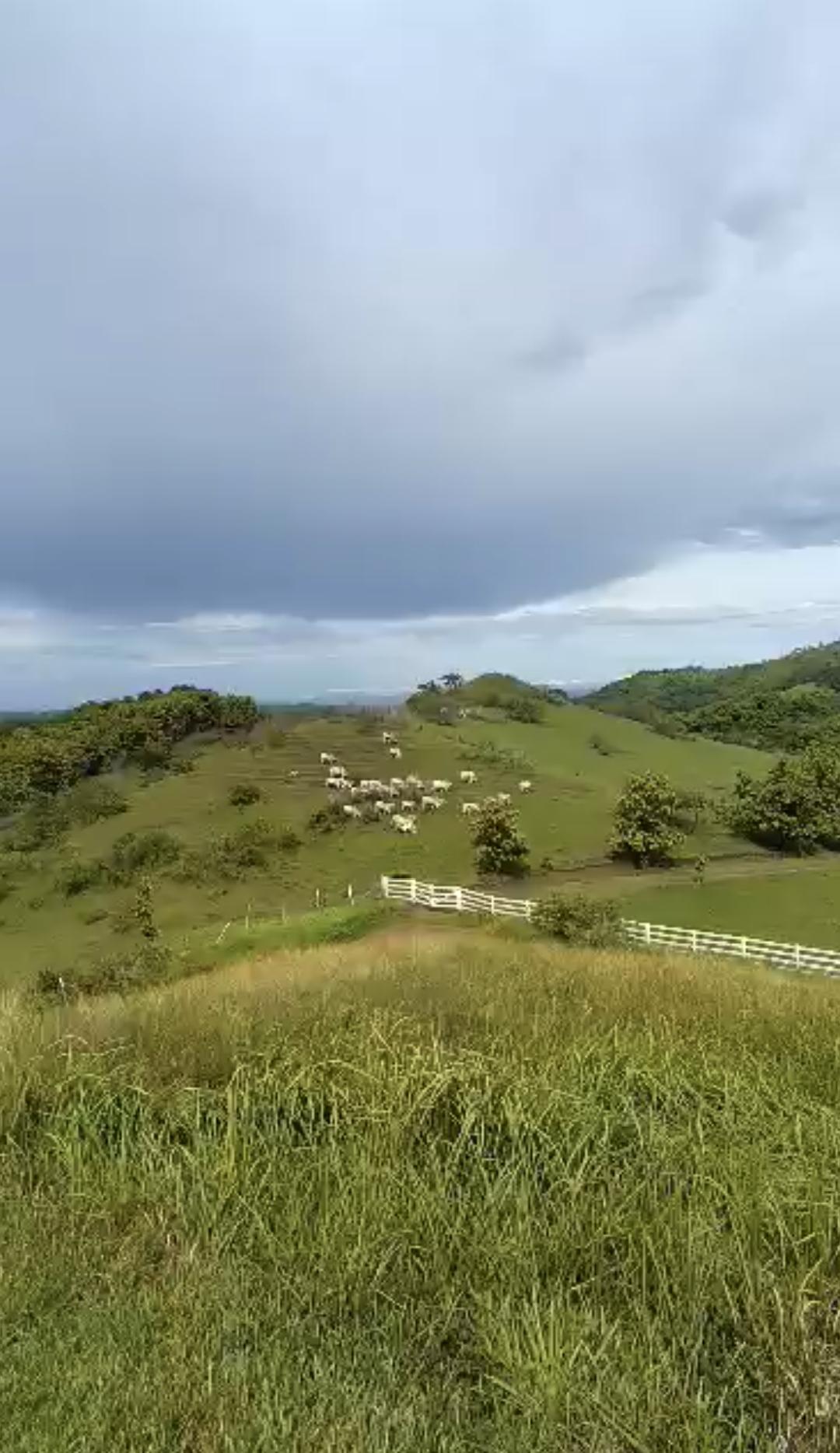 - Claudine Schneider -