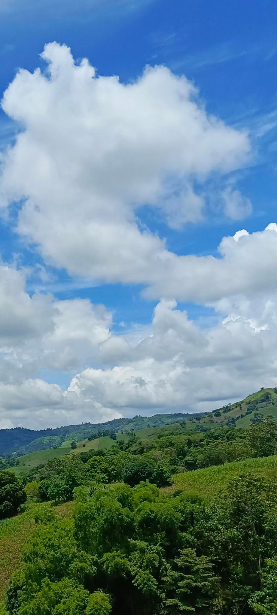 - William Shakespeare -